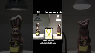 LED X Incandescente [upl. by Oirasec]