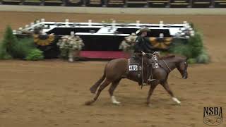 2022 NSBA World Show Senior Ranch Riding Bud Lyon on Whizenboonsmal [upl. by Jeritah]