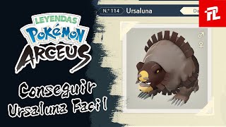 GUIA  Como Conseguir a Ursaluna FÁCIL En Leyendas Pokémon Arceus [upl. by Bev]