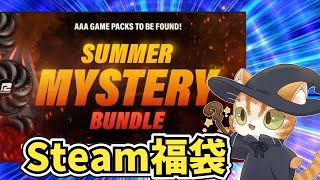 【出るか大当たり！】Fanatical Summer Mystery Bundleを１０口開封だ【Steam福袋】 [upl. by Lanni]