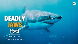 Deadly Jaws  हिन्दी डॉक्यूमेंट्री Wild Africa  Wildlife documentary in Hindi [upl. by Ahsillek]