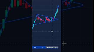 Bullish pennant Chart pattern trading nepseonlinetrading stockanalysis nepsetrader nepalshorts [upl. by Harold]