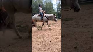 I love this mare sm🤍 she necked reined for the first time excuse my bad riding😭 beautifulpatch [upl. by Cyndi110]