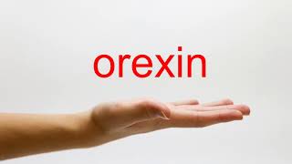 How to Pronounce orexin  American English [upl. by Had541]