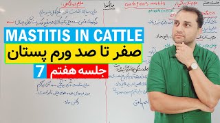 All about mastitis in cattlecontagious mastitis [upl. by Anilave]