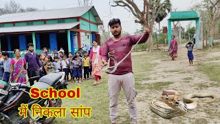 Trinket Snake Was Rescued From LP School 😱🐍 snakevideo snakesaverrahul [upl. by Ramah]