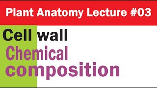 Plant Anatomy Lecture 03 Cell Wall Chemical Composition for BS ADS [upl. by Atinat]