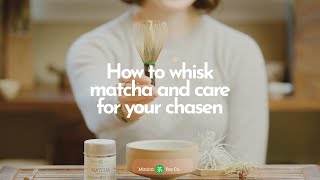 How to Whisk Matcha and Care For Your Chasen [upl. by Luane]