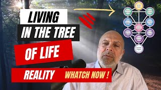 Kabbalah Secrets How To Shift from The Tree of Knowledge To The Tree of Life [upl. by Lanni708]