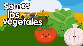 Canción de los vegetales  Canciones Infantiles  Songs for Kids in spanish [upl. by Toolis]