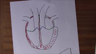 Heart 4 Cardiac output and reserve [upl. by Constantia]