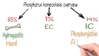 Hyperphosphatemia Electrolytes part 9 [upl. by Novahs315]