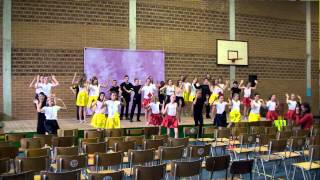 VLS Schoolfeest 2014  Zesde leerjaar [upl. by Daiz]