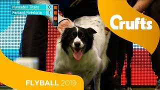 Flyball  Team Quarter Finals  Crufts 2019 [upl. by Silverts229]