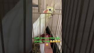 My bird listening to meeee♥️🤩 [upl. by Sheelah365]