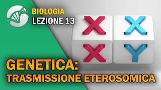 BIOLOGIA  Lezione 13  Genetica Trasmissione Eterosomica [upl. by Isoj]