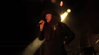 quotWeird Alquot Yankovic  Amish Paradise Live at Red Rocks [upl. by Nohj]