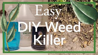 DIY Weed Killer That Actually WORKS [upl. by Ddal109]