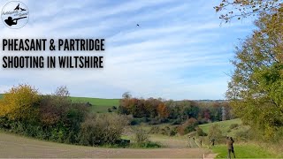 Pheasant amp Partridge Shooting  What a Day  Manor Farm Shoot in Wiltshire UK [upl. by Aitetel78]