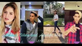 Danish Zehen and Arishfa khan tik tok video Attitude Romentic and Love video  Miss you bro [upl. by Abott]