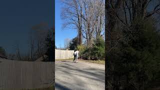 anyways heres a Backside 180 into fakie backside shoveit skateboarding [upl. by Ecnarf717]