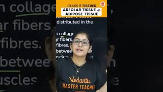 Understanding Areolar vs Adipose Tissue 🧐🔬 vedantu9class cbseclasses [upl. by Rolando]