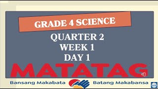 MATATAG GRADE 4 SCIENCE QUARTER 2 WEEK 1 DAY 1 MUSCULAR SYSTEM [upl. by Ennovihs]