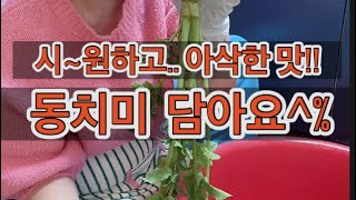 가을무 시원한맛 동치미  깊은맛 자연한스푼 양념 시애틀 새댁 친정엄마 손맛 비밀 [upl. by Ettolrahs347]