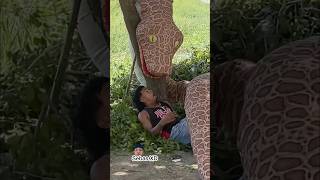 La titanoboa 🐍😱😂 tendencias trending funny humor viralshort [upl. by Elletnahs819]