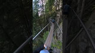 Edge cliff walk at Capilano Suspension bridge park [upl. by Darryn]