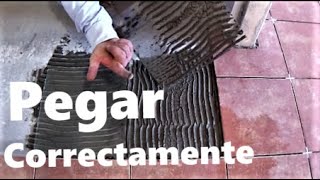 Colocación de baldosas Cómo pegar correctamente ceramica [upl. by Egarton]