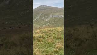 Stana de sub Saua Strunga  Muntii Bucegi romania mountains bucegimountains hikingroute [upl. by Ahseuqram]