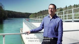 Fish Rise Systems EglisauGlattfelden hydro power plant  Axpo [upl. by Oeram]