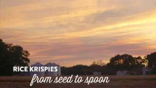 Kellogg’s Rice Krispies from Seed to Spoon [upl. by Adyol]