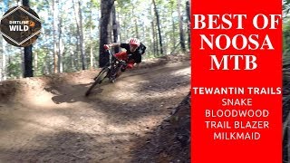 Best of Noosa Mtb Tewantin Sunshine Coast Queensland Australia [upl. by Erdua149]