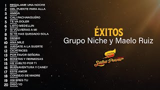 Éxitos Grupo Niche Y Maelo Ruiz  Salsa Power [upl. by Medeah693]