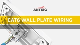 ANTSIG  How to Wire a CAT6 Wall Plate [upl. by Eikcaj]