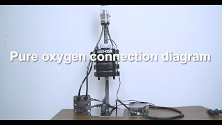 Ultimate Guide Generate Pure oxygen with a PEM Electrolyzer Easily（not include hydrogen） [upl. by Aicre]