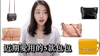 近期愛用的5款包包 Chanel Hermes Dior  上身背給你看 [upl. by Akinek]