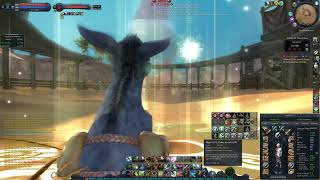 Aion Classic Assassin vs Executor Azkel [upl. by Ahouh716]