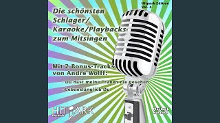 Der Junge mit der Mundharmonika Instrumental Version [upl. by Blithe347]