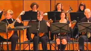 The Milwaukee Mandolin Orchestra Performs Stop Look and Listen [upl. by Zzabahs88]