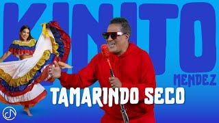 Tamarindo SECO 🪇 KINITOMENDEZOFFICIAL 🤩 Video Oficial [upl. by Alyhs]