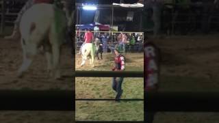 Roach Hedeman Bull Jousting [upl. by Arluene525]