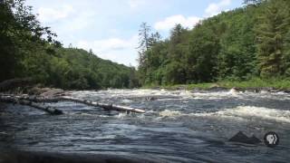 Rafting the Hudson River Gorge [upl. by Atat]