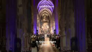 Christmas Concert  St Stephan’s Cathedral  Vienna Austria 🇦🇹 [upl. by Ellekram411]