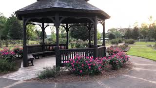 Thomasville Georgia Rose Garden [upl. by Nabois]