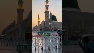 Bhar Do Jholi Meri Ya Muhammad  Short Video  Madina Qawwali [upl. by Amadeus]