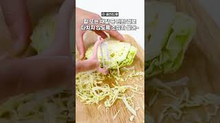 30초 안에 끝내는 양배추 소분 방법 십일썰 [upl. by Elvina521]