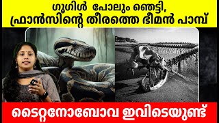 ​ഗൂ​ഗിളിനെ പോലും അമ്പരപ്പിച്ച ഫ്രാൻസിന്റെ തീരത്തെ ഭീമൻ പാമ്പ്  The Giant Snake of Prehistoric Times [upl. by Enilrac817]